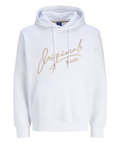 Sudadera Jack & Jones JORSIGNATURE con Capucha  Forest River