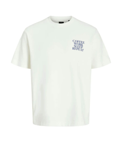 Camiseta básica de hombre con ajuste regular y cuello redondo, ideal para cualquier ocasión.
